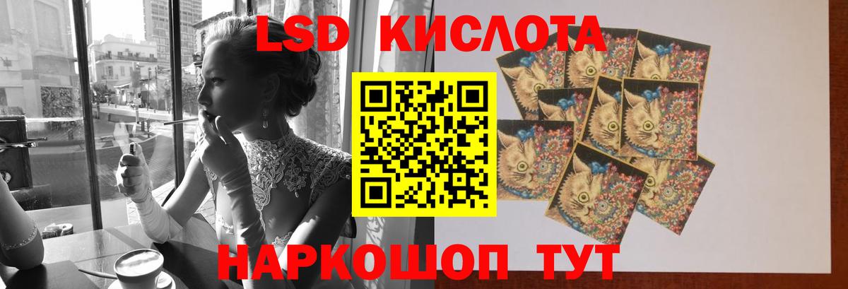 Галлюциногенные грибы Троицк