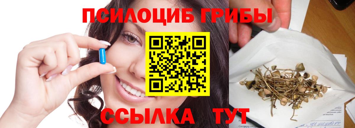 Троицк  Псилоцибиновые грибы Psilocybine cubensis  Вход с VPN 